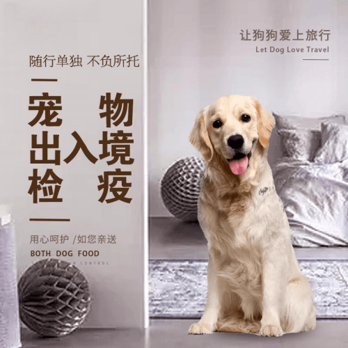 白山市宠物托运到哥伦比亚猫狗宠物入境规定和