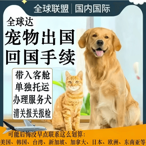 白山市宠物托运到柬埔寨宠物入境规定和要求