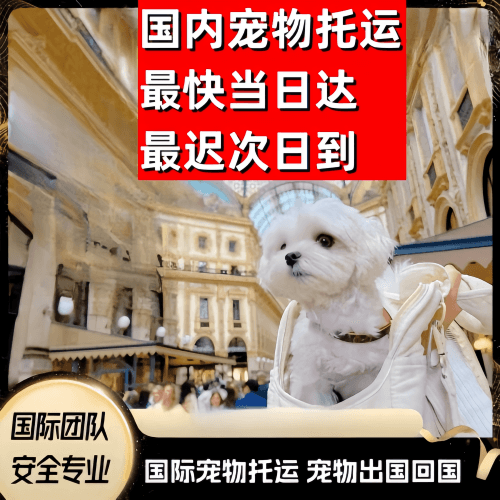 白山市到澳大利亚（澳洲）宠物入境规定和要求