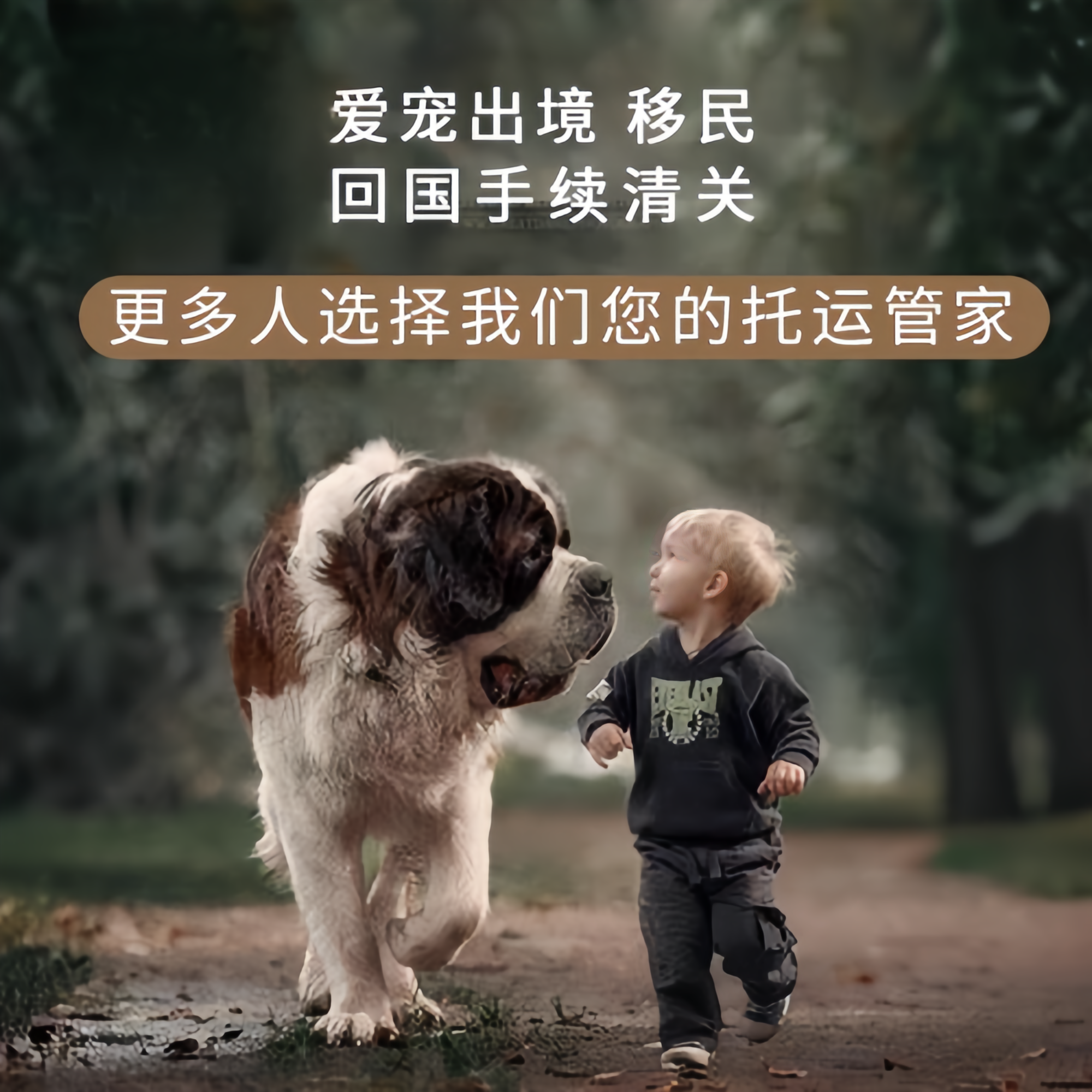 满财白山市宠物全球达宠物托运在遵守入境目的地政策的条件