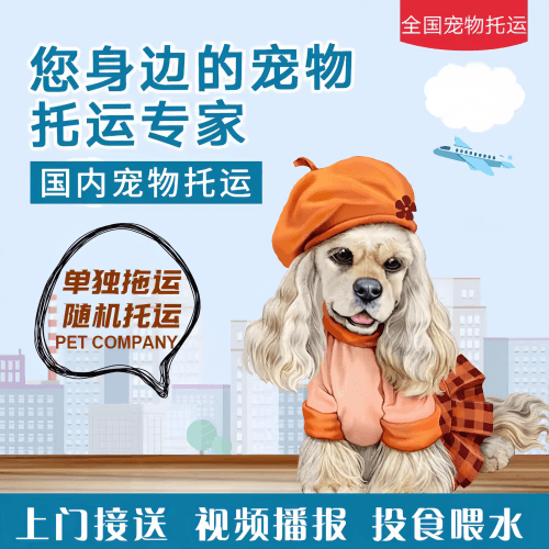 满财白山市宠物全球达宠物托运作为专业的宠物运输代理机构